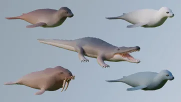 Low poly 3D aquatic animal collection featuring seals, crocodile with open jaw, walrus with tusks in realistic colors