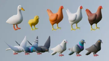 Low poly 3D bird collection featuring duck, chick, chickens in various colors and pigeon models including seagulls and doves