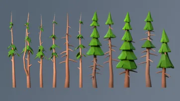 Pine tree growth progression showing low poly 3D development stages from bare branches to fully developed evergreen trees